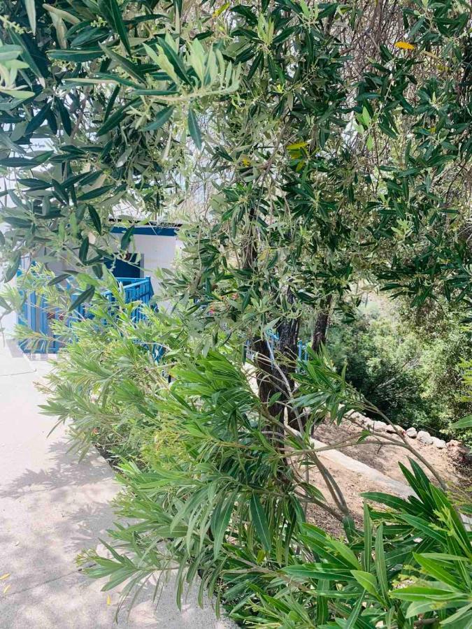 Pefki  Villa Bellina מראה חיצוני תמונה